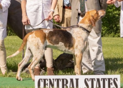 central states champ crop