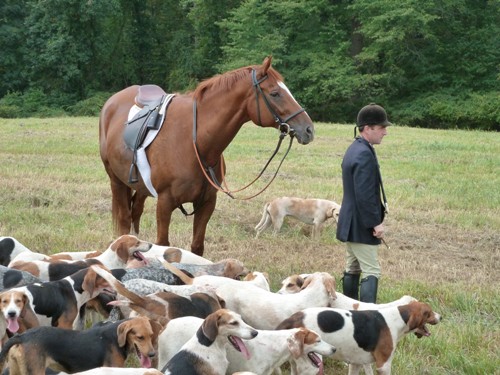 cheshire3.dowling.hounds.jimgraham