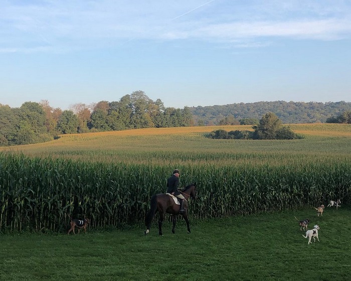 hound trial.millbrook.bridle.karenkandra