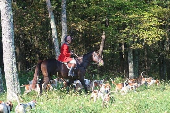 millbook.charles and hounds.barbara smith