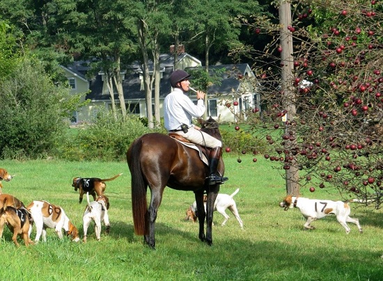 millbrook.charles hounds.pat ike.cropped