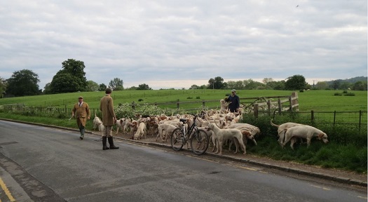 ncotswold1.denya