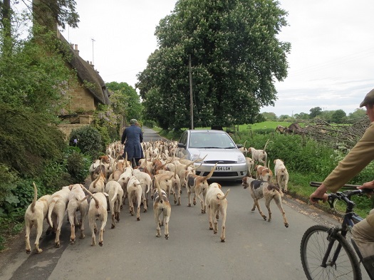 ncotswold3.denya