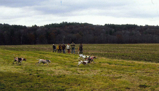 ne trails racelg