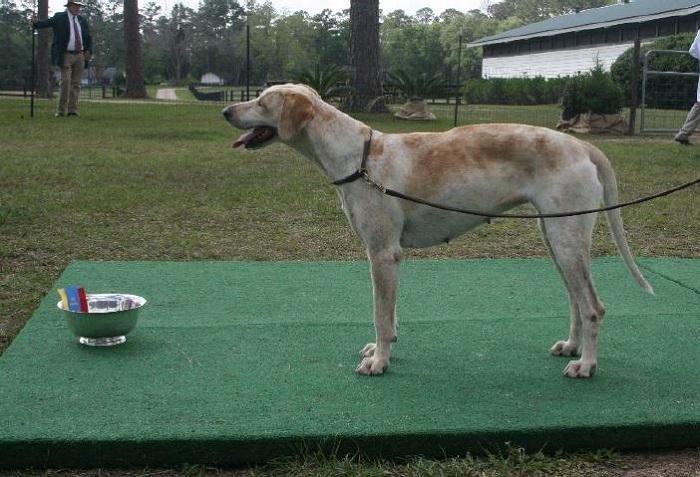 southern.reserve gc.hillboro waggle