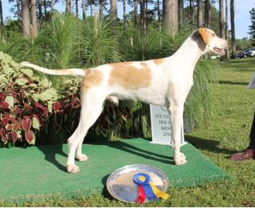 southern17.godfrey.unentered