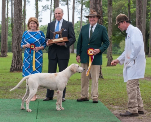 southern hound show15.fanfare10.warner ray