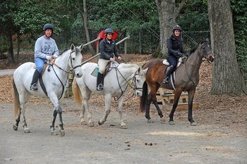 2011_Aiken_Day_Nine_Tom_Neel_Stephanie_Miller_Lore_Farriss