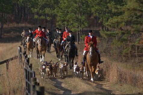 20120314211346 edisto11