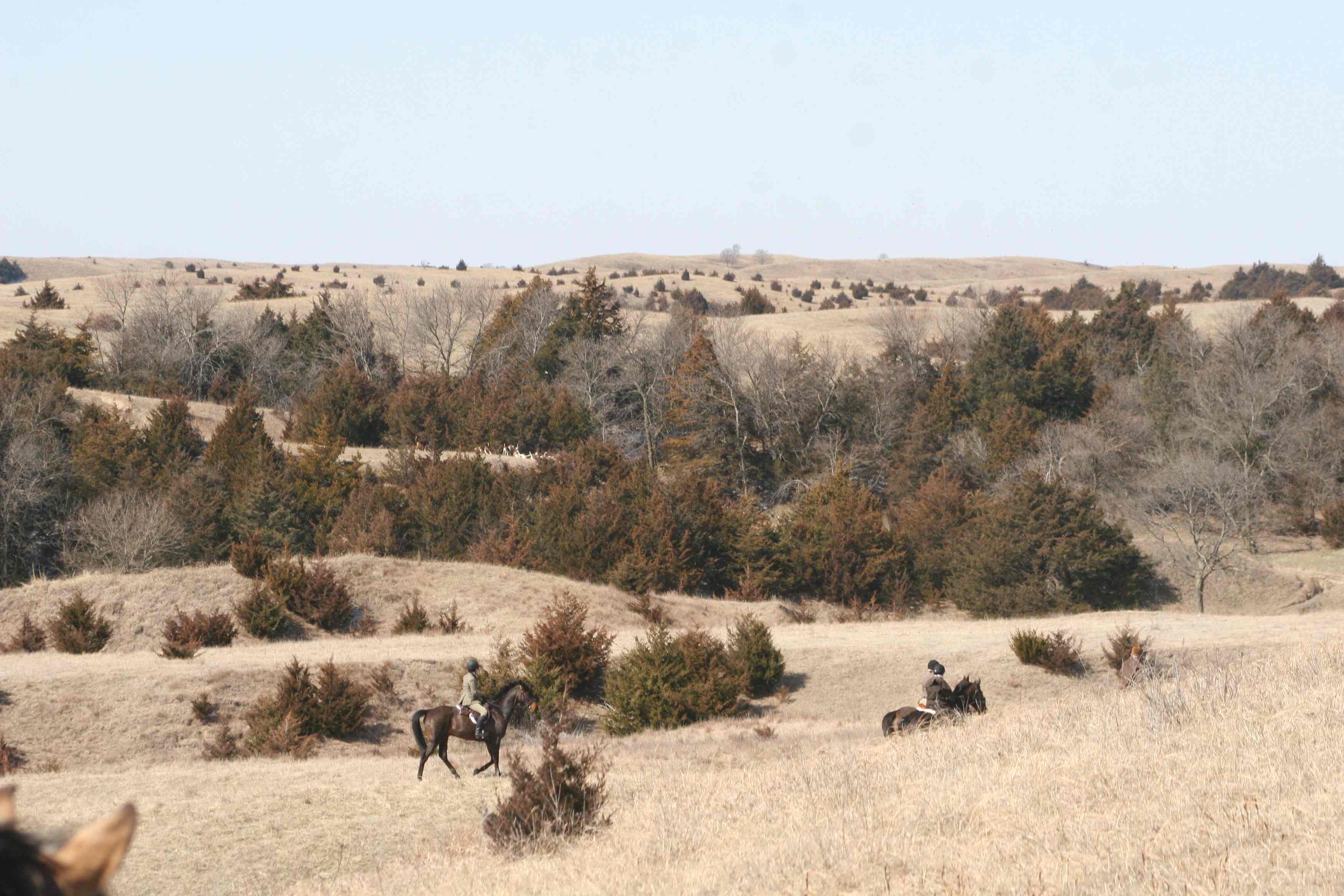 Burwell Photo by Gretchen Pelham
