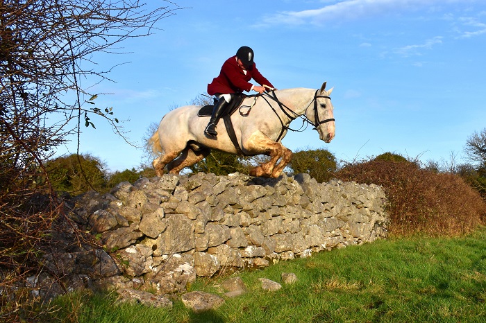  Jackie Lee field master of the North Galway Foxhounds clearing a 5 foot double stone wall on an Irish Draught Hunter at their meet in Shrule
