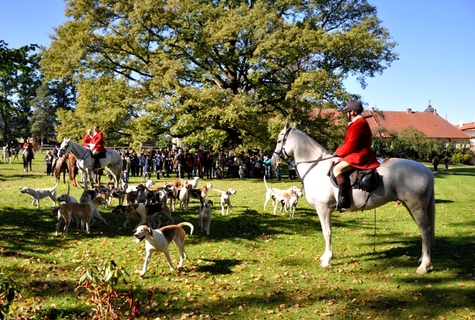 Otto_Schultz_with_the_Asbach_Foxhounds_at_Drahenice_Castle_in_the_Czech_Republic
