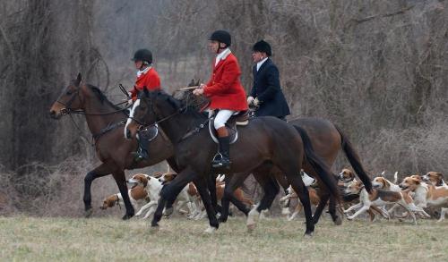 Radnor Hunt Visits Big Bend