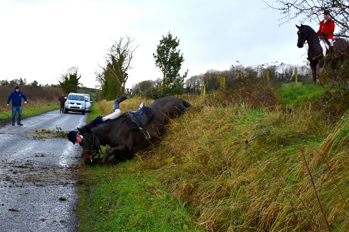 STF.Saffron Oliver comes down over a ditch onto a road fox hunting with the South Tyrone Foxhounds