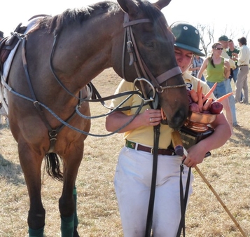 Tallyho_Cup_-_Best_Playing_Foxhunter_2