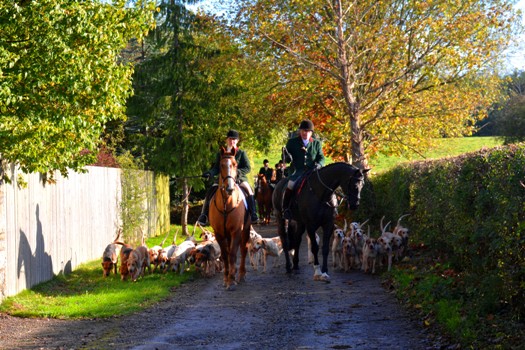 Tara Kennel Huntsman Sabine Dowdall  Huntsman Henry Smith Tara Harriers at Craystown