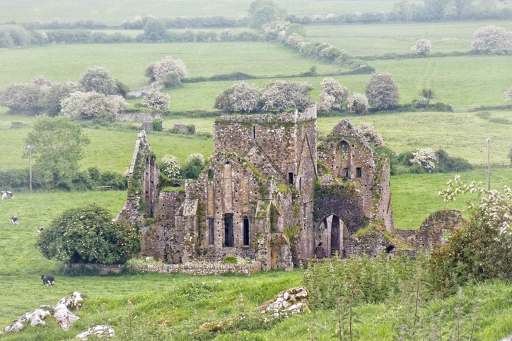 Tipps Hore Abbey Photo by Larry Herfindal