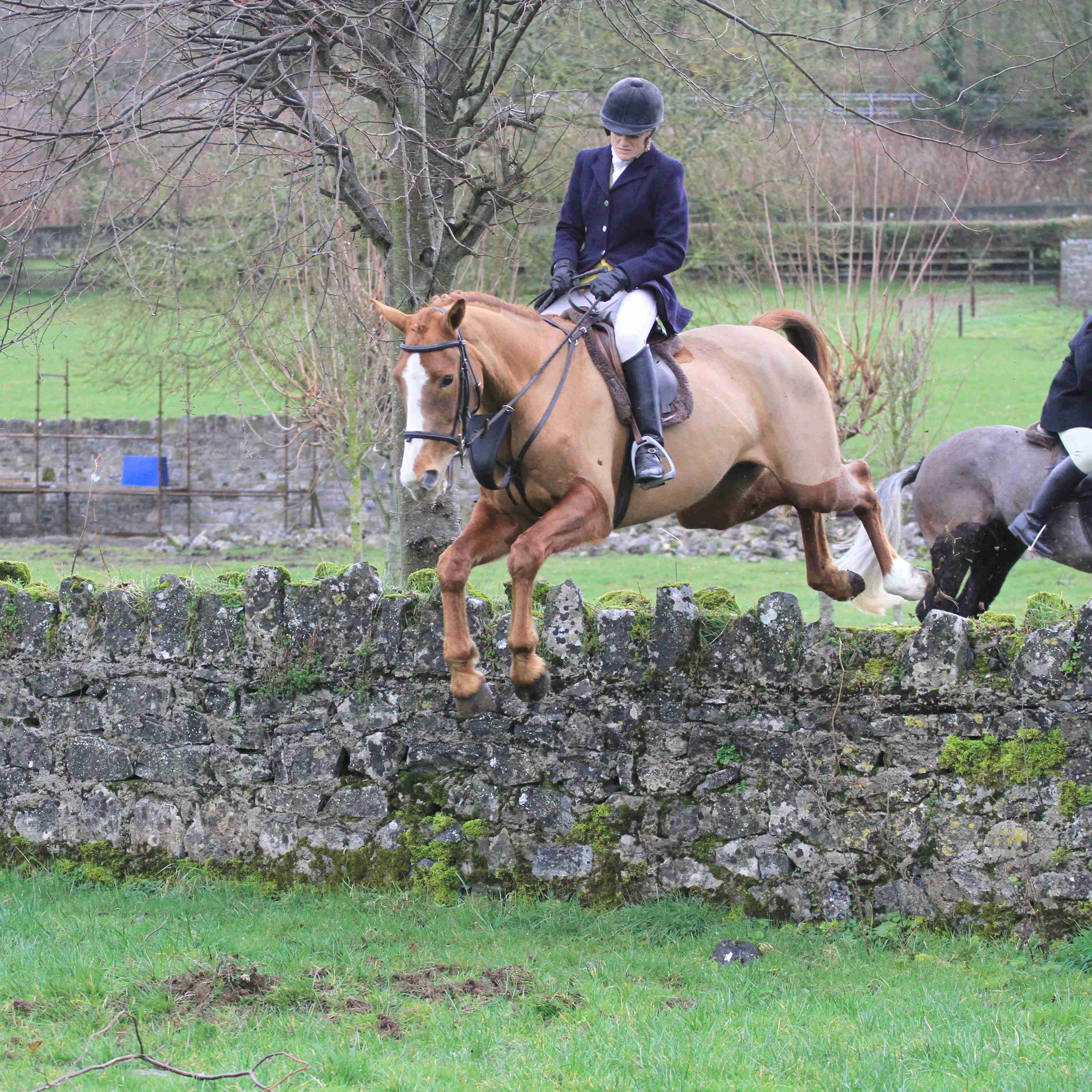 Tipps Jacqui Freyne sails over the wall with style Photo by Catherine Power