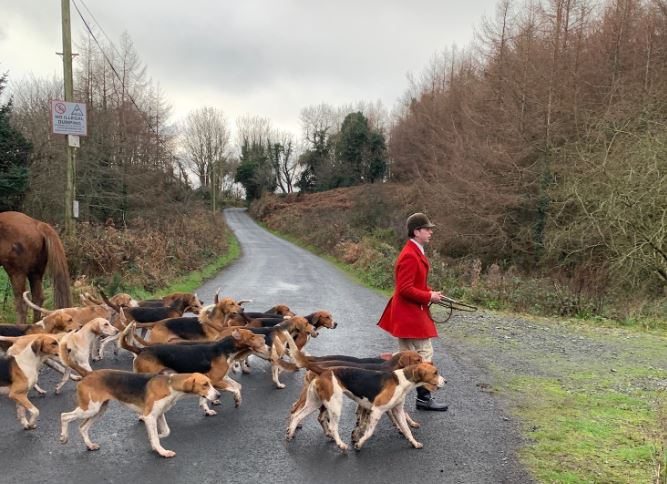 Waterford huntsman and hounds crop.Lucy Fugate