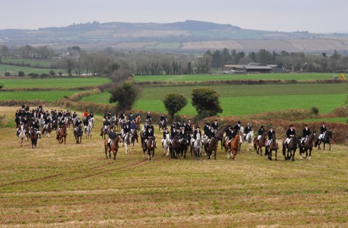 Wexford field.mullins