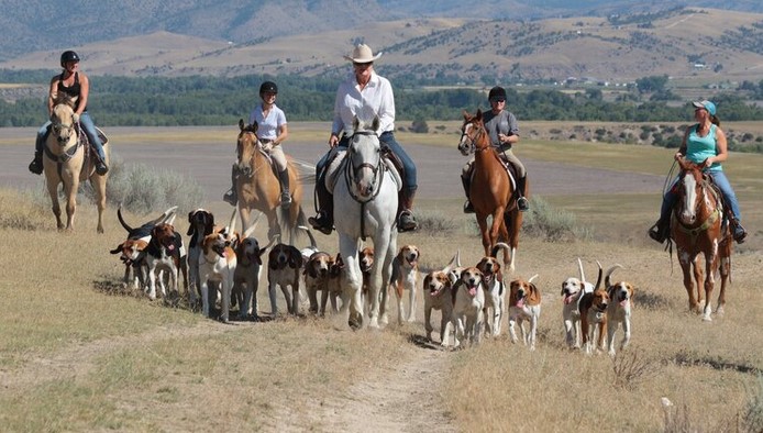 big sky cowboy and hounds.rick baldwin