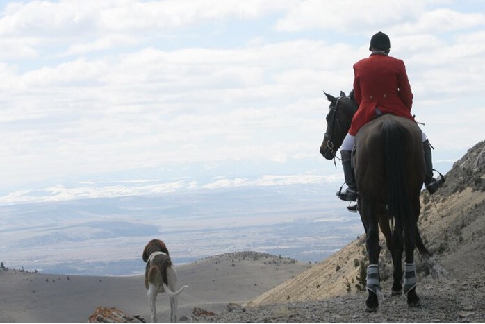 big sky vista.gretchen pelham
