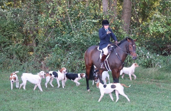 cheshire.magner foxhounds.barb smith