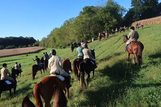 cheshire field.foxhunting in cornfield.barb smith