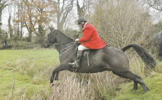 duhallow.maurice coleman mfh.powers