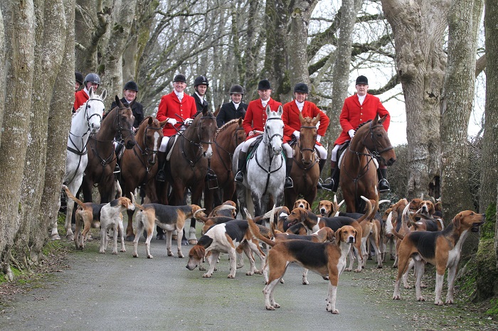 duhallow.moving off.cath