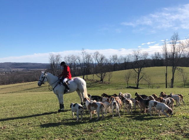 erin mckenney and hounds december.lindsay baldwin
