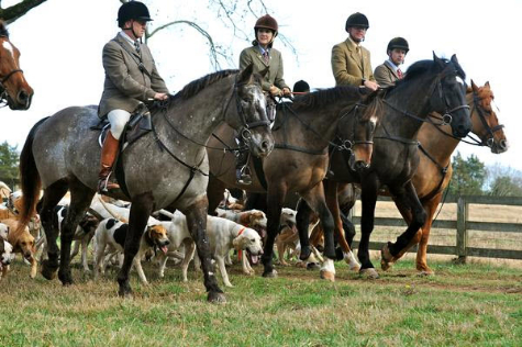 gawtw.12.staff.hounds
