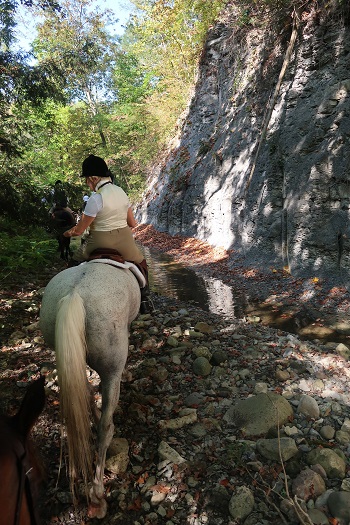 fox hunting in the Gullies at Geneseo