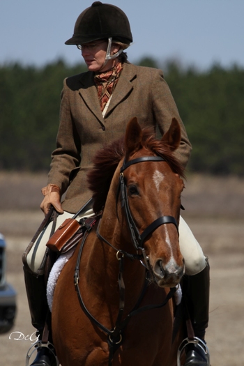 kathy viele