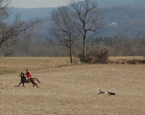 kleck.neil.hounds