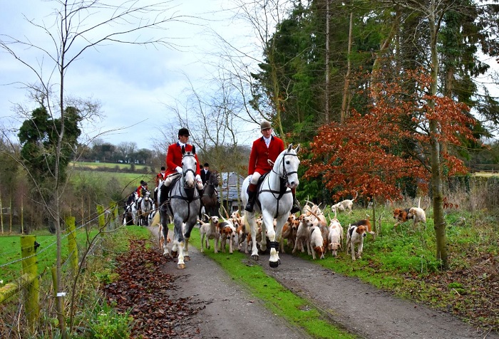 meath staff and hounds.mullins