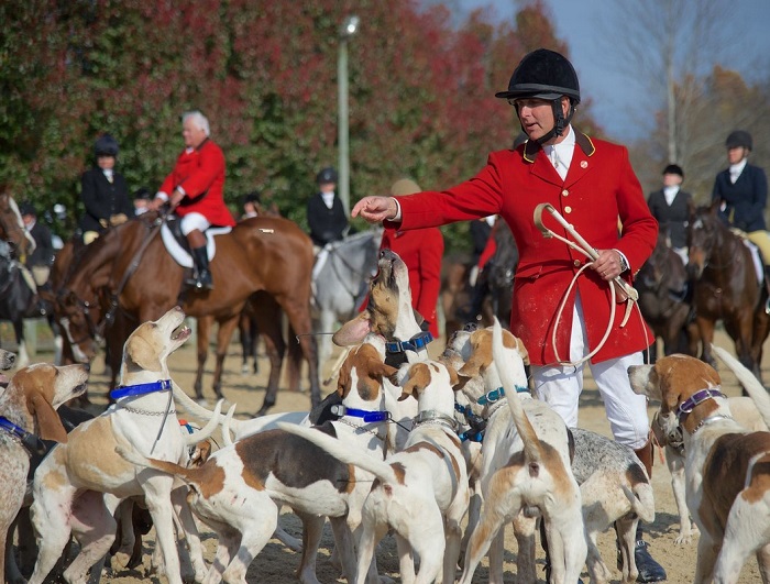 mells.charles and hounds.dodson