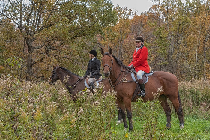 millbrook.laura sloanverilli.carol pedersen