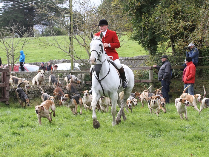 power.tipps.huntsmanhounds