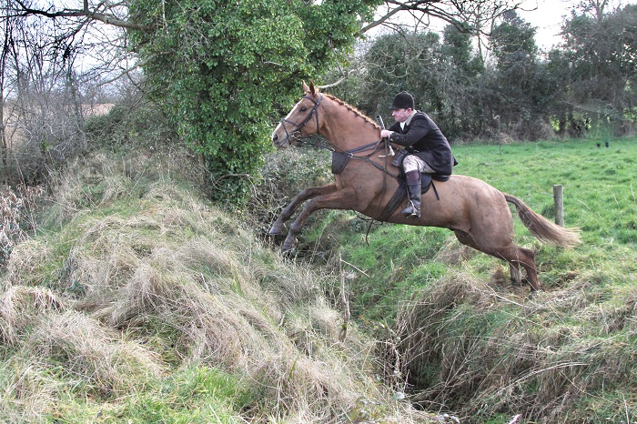 scarteen20.whipper in
