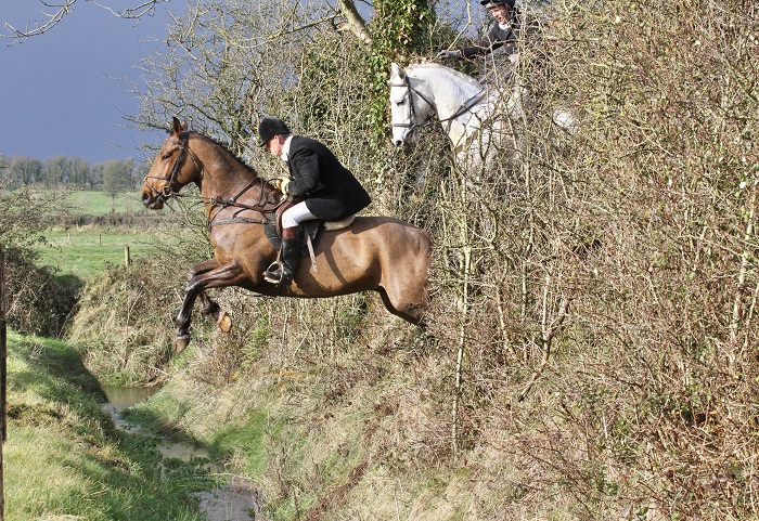 scarteen 20.int show jumper thru hedge