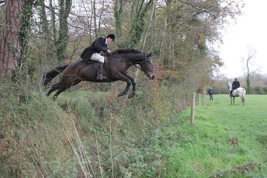 scarteen whip furlong.power