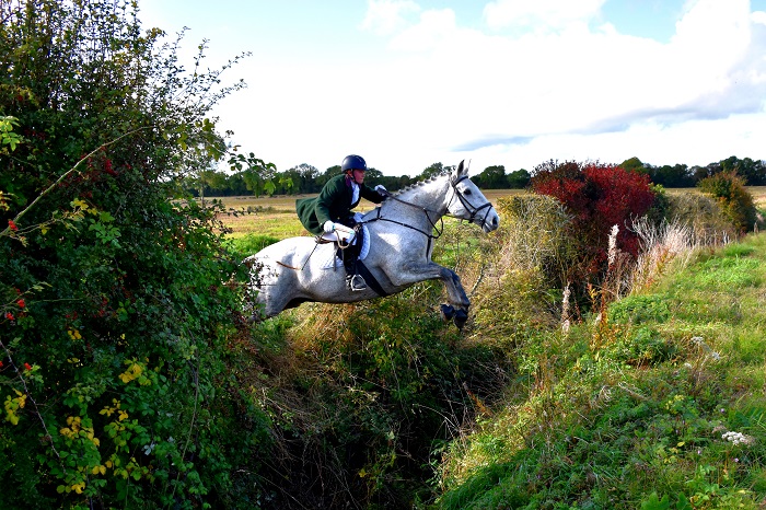 sd harriers.mullins.eve kerr