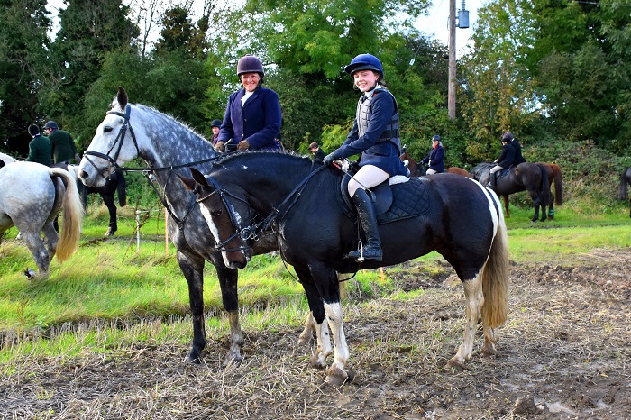 sd harriers.mullins.rescue pony