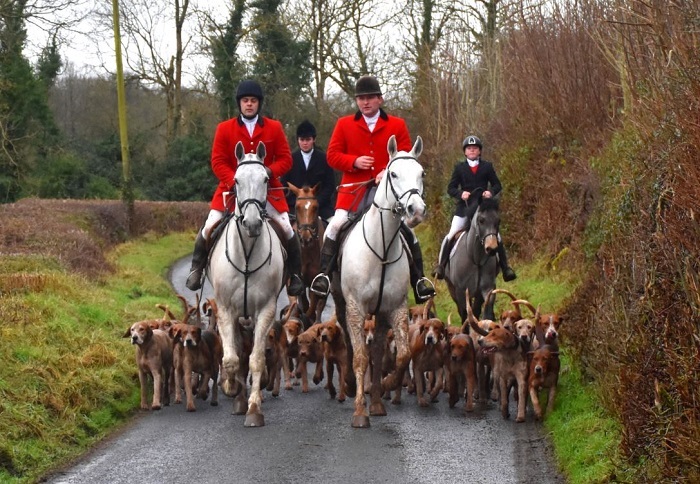 westmeath hounds and staff.mullins