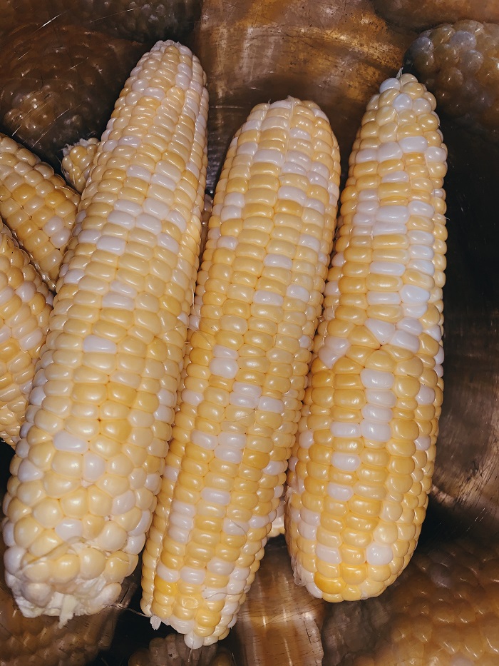 wilkoski.corn