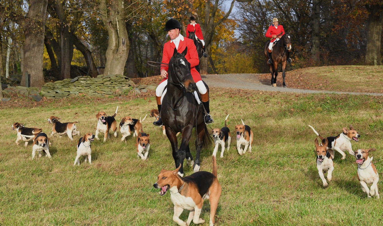 WHC DSC 4027 Huntsman Matt van der Woude Douglas Lee