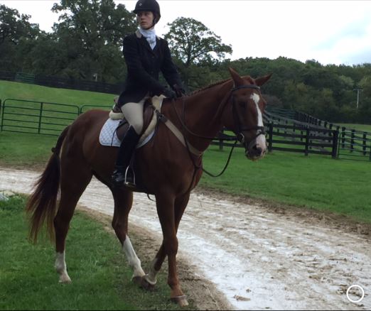 Caelinn.splendor.fox.hunting