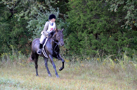 DSC 0069.small