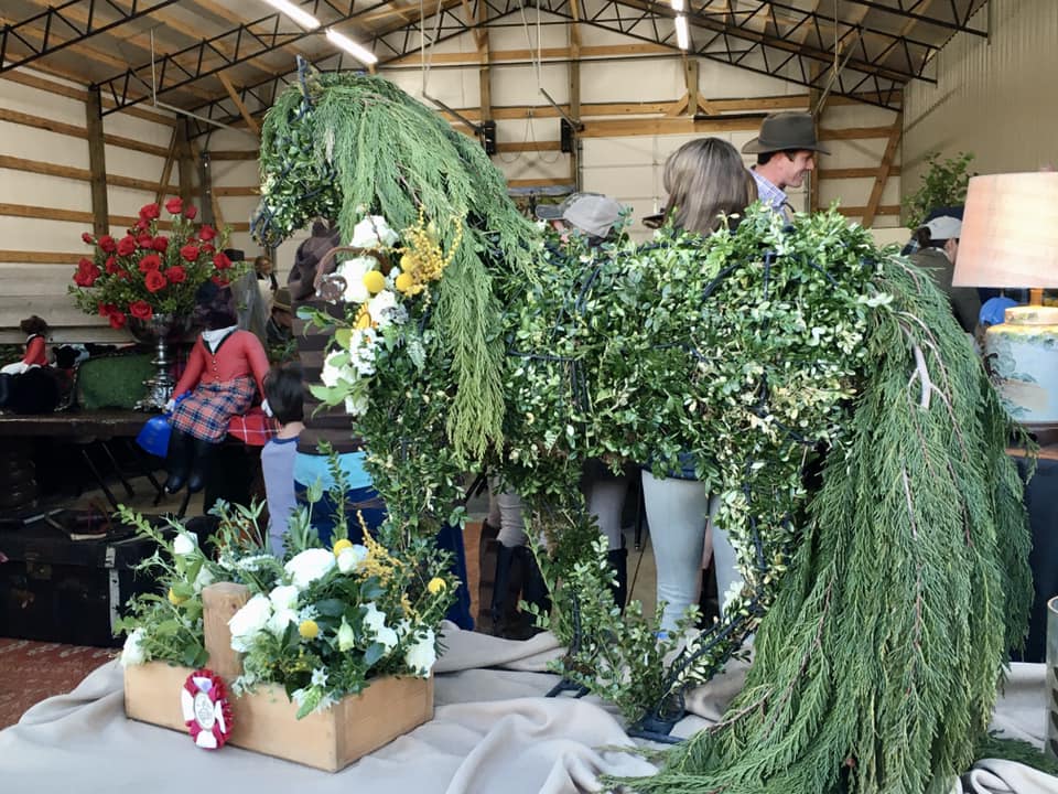 jfhc 2 Photo by Equestrian Influence